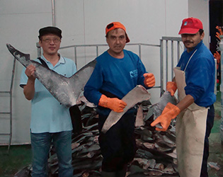 ▲現地視察:スペインにて